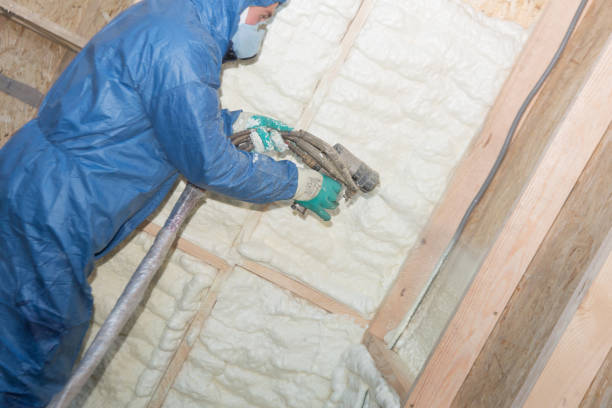 Best Batt and Roll Insulation  in Easley, SC